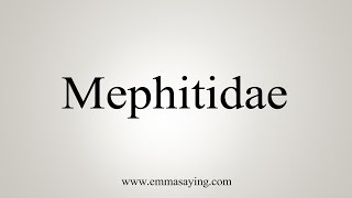 How To Say Mephitidae [upl. by Eon551]