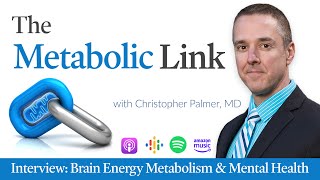 Christopher Palmer MD  Brain Energy Metabolism amp Mental Health  The Metabolic Link Ep 2 [upl. by Jilleen106]