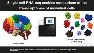 DH607 Fall 2024 Lecture 16  Singlecell RNAseq technologies [upl. by Bensky]