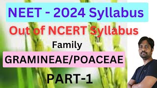 GRAMINEAE orPOACEAE Family Part1  NEET 2024 Exam out of NCERT Syllabus [upl. by Noivert]