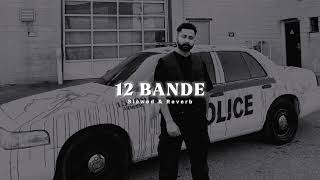 12 Bande  Slowed amp Reverb   Varinder Brar [upl. by Ambrogio15]