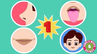 Number 1 Song  Numbers  Nursery Rhymes for Kids  Bindis Music amp Rhymes [upl. by Anairdna44]