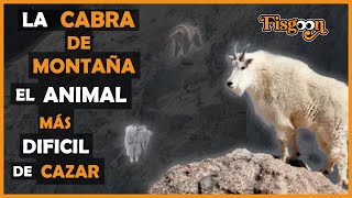 La Cabra de Montaña El Animal Más Difícil de Cazar [upl. by Nevetse]