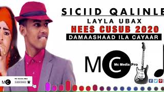 Sida Layliyo Qays Cabdi Xasan Dige Balwo Lyrics [upl. by Leodora]