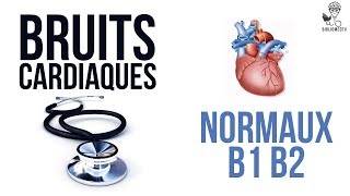 Ecoutez les Bruits Cardiaques Normaux B1 B2 [upl. by Anirtruc]