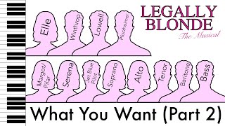 What You Want Part 2  Vocal Practice Tracks  Legally Blonde [upl. by Bradman625]