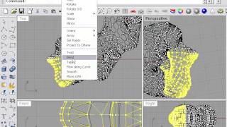 Learning RhinoMesh Point Editing [upl. by Enrichetta]