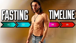 Fasting TIMELINE SEMINAR How Long Should You Fast for ALL Purposes Fat Loss Gains Brains Skin [upl. by Gaultiero132]