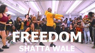 Shatta Wale  Freedom  Meka Oku Afro Dance Choreography [upl. by Steinman964]