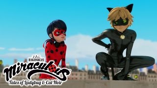 Miraculous Ladybug  ANIMAN  Ladybug and Cat Noir [upl. by Orsa]