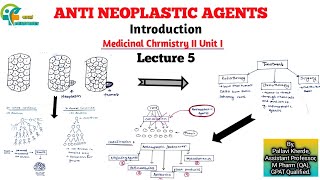 ANTI  NEOPLASTIC AGENTS Anti  cancer agents  Introduction  unit 1  L5  medichem 2 b pharmacy [upl. by Roon]