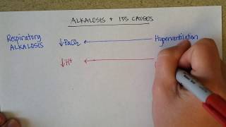 Causes of Blood Alkalosis [upl. by Narf156]