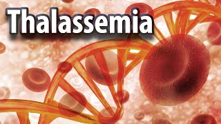 Everything about THALASSEMIA [upl. by Eeresid635]