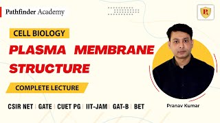 Plasma Membrane Structure  Cell Biology  Pranav Kumar  CSIR NET  GATE  DBT  ICMR  IIT JAM [upl. by Anaz266]