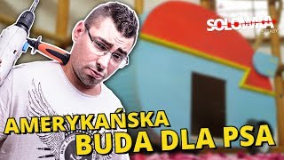 Solówka Sztaby  Amerykańska buda dla psa [upl. by Hareehat]