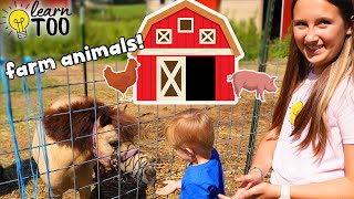 Farm Animals  Learn About Farm Animals for Kids  Farm Animals for Toddlers  Chickens Goats Horses [upl. by Andri]