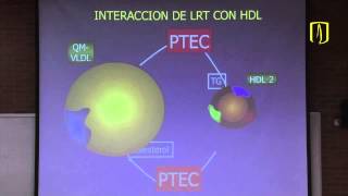 Metabolismo de lípidos  Bioquímica médica [upl. by Aicatsue]