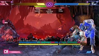 Sf6 Terry Bogard Stun Reset setup combos conversion [upl. by Athalee]