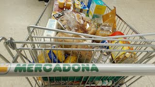 Compra 🛒 en Mercadona 🛒 16195 € 💸👛💸 [upl. by Tuinenga504]