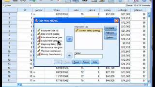 Oneway ANOVA  SPSS part 1 [upl. by Ahsiner]