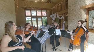 Flower Duet  L Delibes from Lakme performed by Serenity String Duo Quartet [upl. by Tymes]