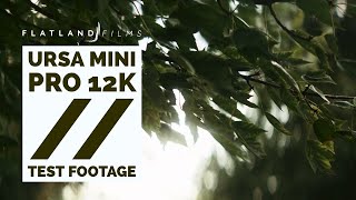 URSA MINI PRO 12K  Test Footage [upl. by Acimad]