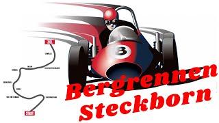 Bergrennen Steckborn Pro Team gibt es einen neuen Baum [upl. by Naraj815]