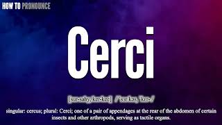 Cerci Pronunciation  How to Pronounce say Cerci CORRECTLY  Meaning Definition [upl. by Eenitsed]