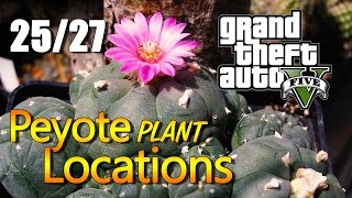 GTA 5  Peyote Plant Locations 2527 [upl. by Honan782]