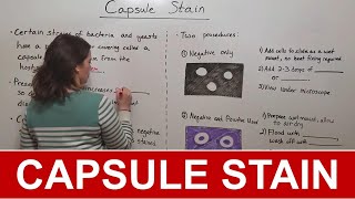 Capsule Stain [upl. by Jobina858]