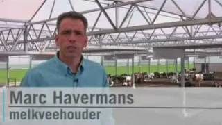 Marc Havermans  Veehouderijtechniek [upl. by Ihsar]