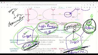 Purine Salvage pathway and deficiencies  Molecular biology  Biochemistry  First Aid LecturesLec6 [upl. by Walford455]