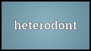 Heterodont Meaning [upl. by Hoes806]