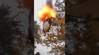 GIANT Bald Faced Hornets Nest Vs Black Powder Cannon strapped to Backhoe [upl. by Genie]