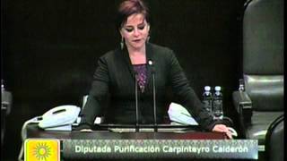 Dip Purificación Carpinteyro PRD  Ley de los Órganos Reguladores Coordinados Reservas [upl. by Saiff]