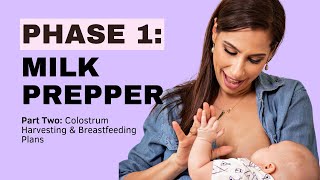 Mastering Breastfeeding The Ultimate FREE Online Class for New Moms MILK PREPPER Part 2 [upl. by Gautious232]