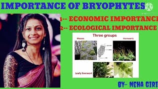 Ecological and economic importance of bryophytes😍 11th12thbscmscnet [upl. by Nalhsa]