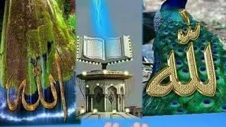 Sarkar tawajjo farmaye YouTube video viral video [upl. by Ydnal]