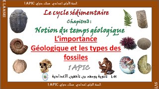 fossiles et fossilisation importance géologique et types de fossiles 1APIC [upl. by Victory912]