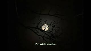 Wide Awake by Katy Perry lyrics [upl. by Matthaeus852]