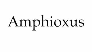 How to Pronounce Amphioxus [upl. by Rayshell]