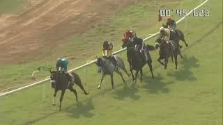 EXUMA wins The V P Koregaonkar Plate [upl. by Waers]