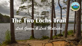 Walking the Two Lochs Trail  Loch Garten and Loch Mallachie Abernethy National Nature Reserve [upl. by Enived106]