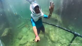 INSTA 360 X3 Invisible Dive Case First Testing  Sea Trek Helmet Diving XCARET Park 🇲🇽 [upl. by Ahsekahs]