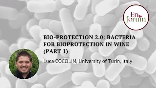 BioProtection 20 Bacteria for Bioprotection in Wine part 1 [upl. by Errol10]