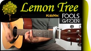 LEMON TREE 🌳🍋  Fools Garden  GUITAR Cover  MusikMan N°131 [upl. by Bresee]