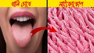 Part3 এমন ১০ টি জিনিস মাইক্রোস্কোপ দিয়ে দেখলে আপনিও অবাক হবেন। Amazing Microscope World [upl. by Henriques]