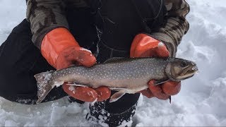 Ice Fishing for BIG Brook Trout [upl. by Pantheas]