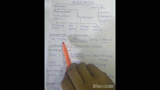 Bacterial nutritionChemosynthesis  Chemical reaction [upl. by Lorelie]