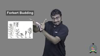 quotForkert Buddingquot  Indian Sign Language Tutorial  How to Sign [upl. by Eseerahs677]